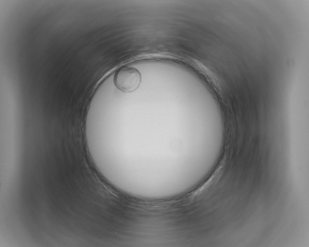 X0000111671361200907171436