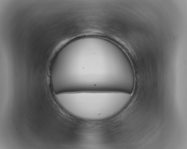 X0000111671363200907171435