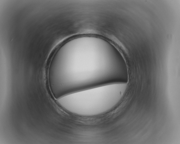 X0000111671364200907171435