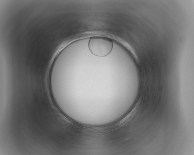 X0000111671365200907171435