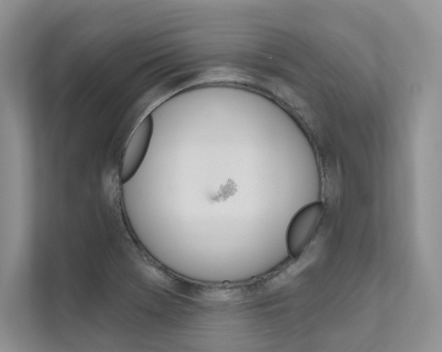 X0000111671369200907171435