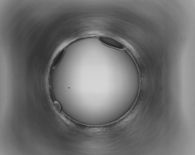 X0000111671373200907171435