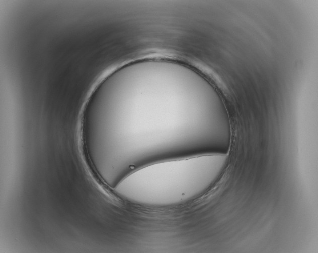 X0000111671375200907171435