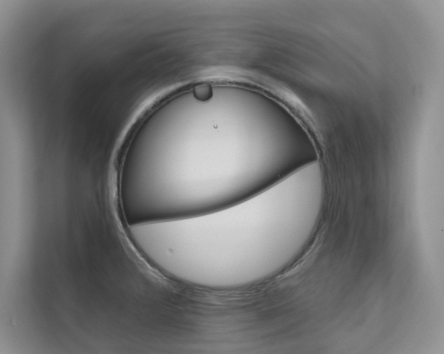 X0000111671376200907171435