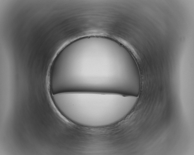 X0000111671383200907171435