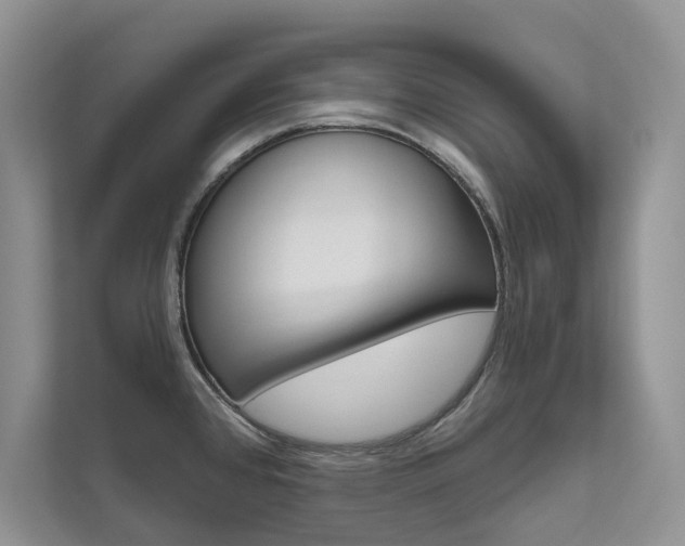 X0000111671384200907171435