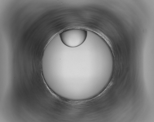X0000111671385200907171435