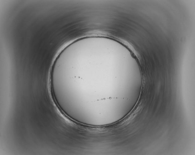 X0000111671387200907171435
