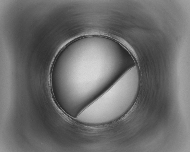 X0000111671388200907171435