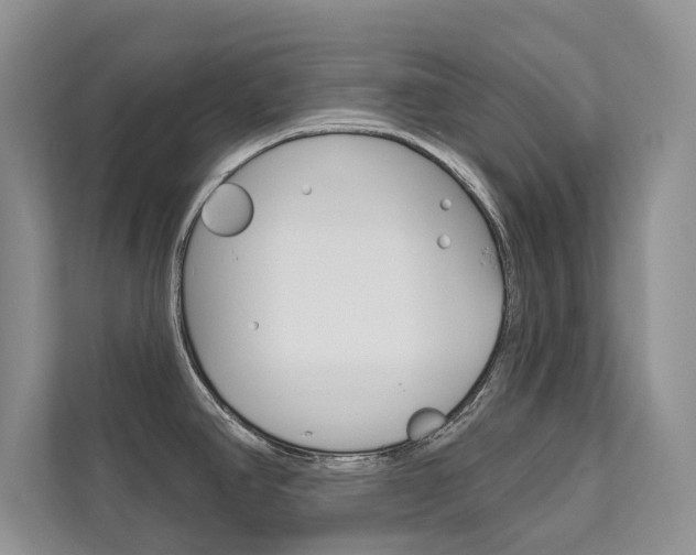 X0000111671390200907171435