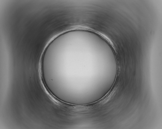 X0000111671391200907171435