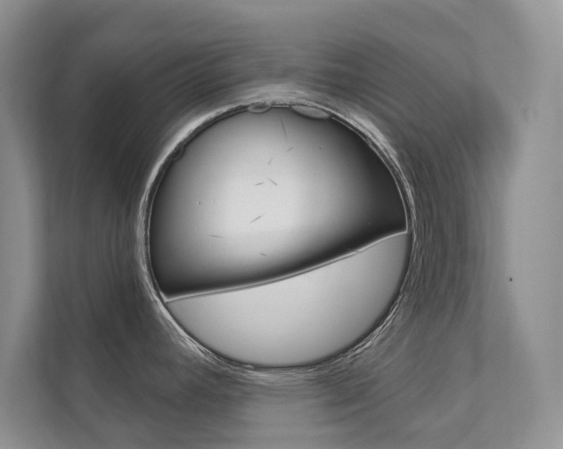X0000111671392200907171435