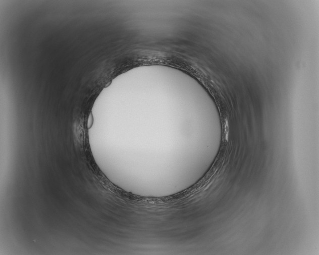 X0000111671395200907171435