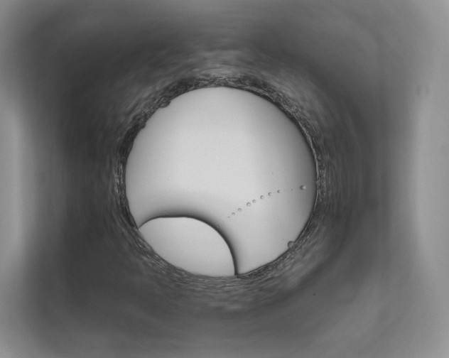 X0000111671397200907171435