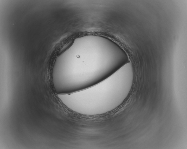 X0000111671398200907171435