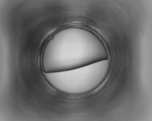 X0000111671402200907171435