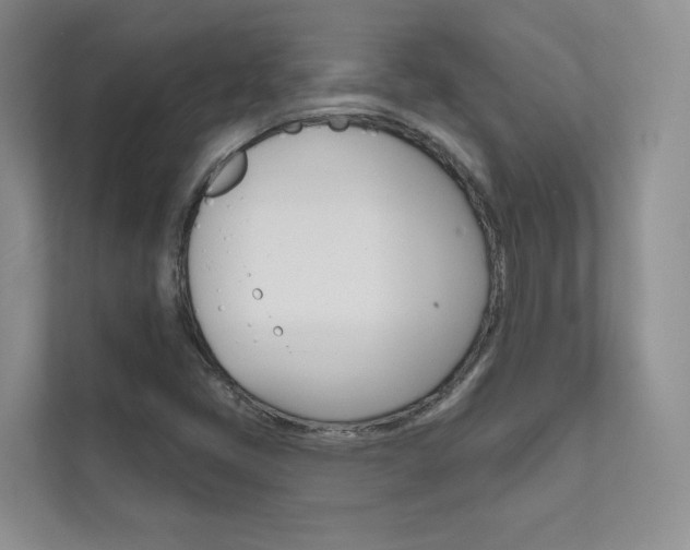X0000111671405200907171435