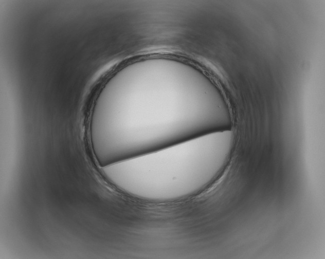 X0000111671406200907171435