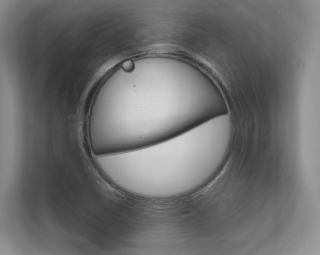X0000111671410200907171435