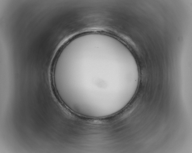 X0000111671412200907171435