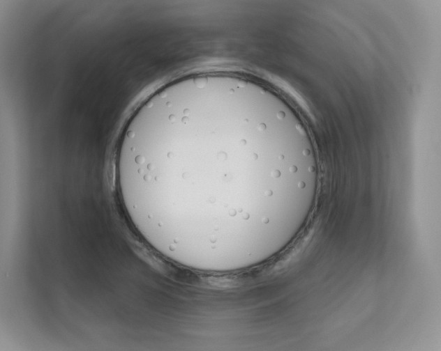 X0000111671413200907171435