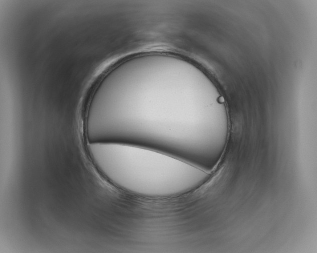 X0000111671414200907171435