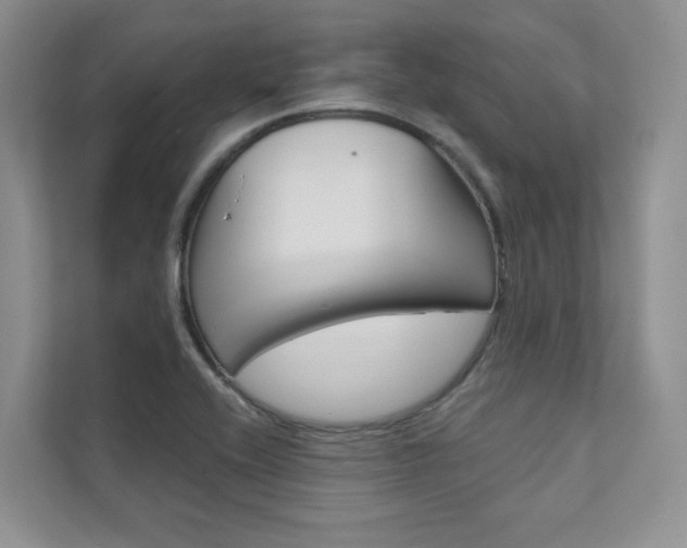 X0000111671416200907171435