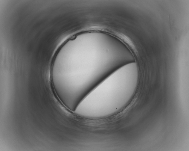 X0000111671420200907171435