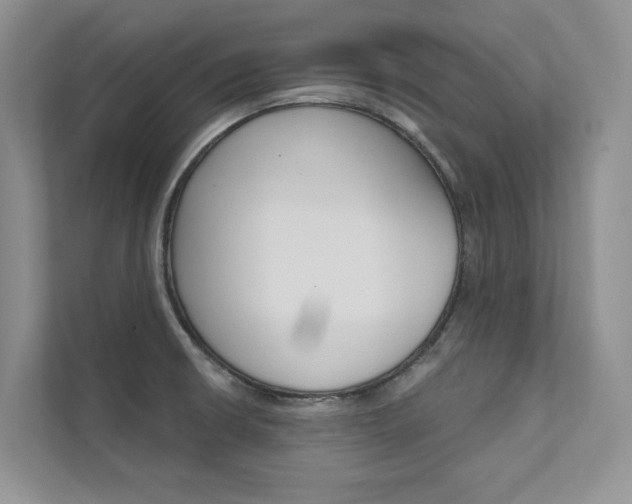 X0000111671426200907171435