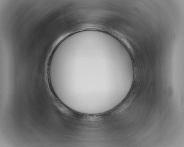 X0000111671427200907171435