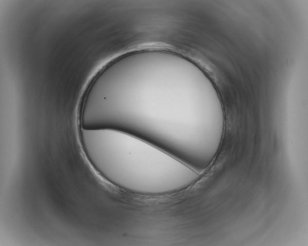 X0000111671430200907171435
