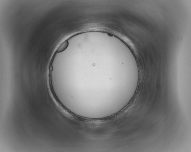 X0000111671431200907171435