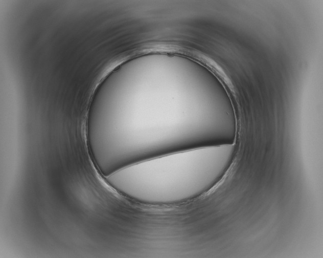X0000111671433200907171435