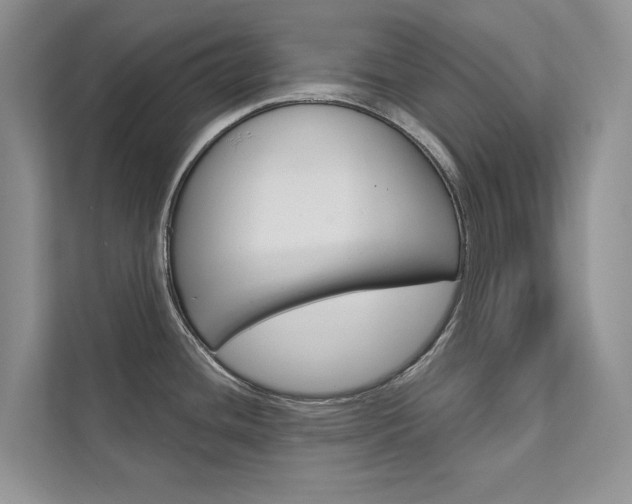 X0000111671436200907171435