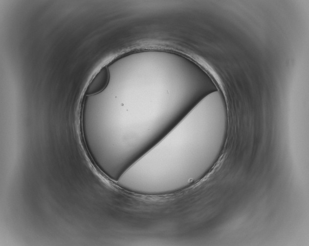 X0000111671437200907171435