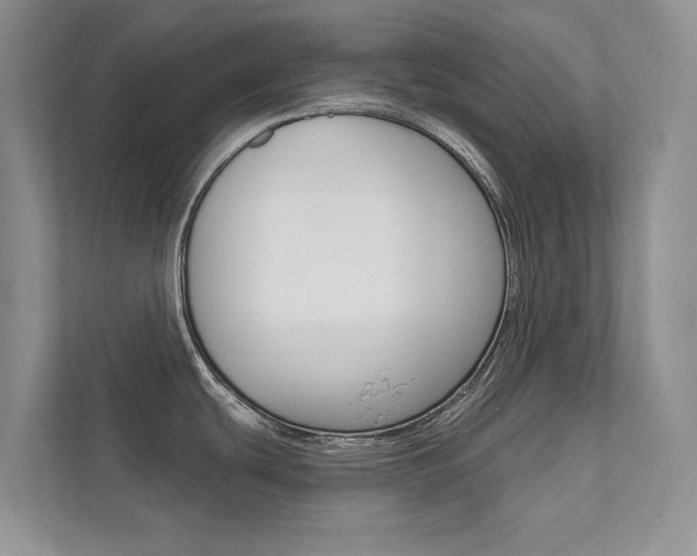 X0000111671439200907171435