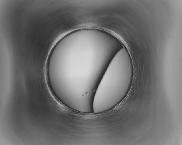 X0000111671440200907171435