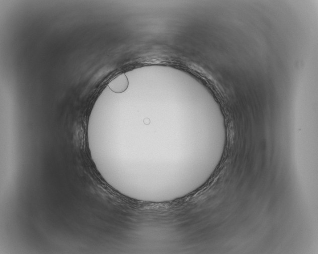 X0000111671446200907171434