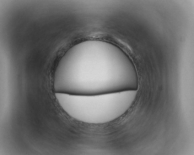 X0000111671447200907171434