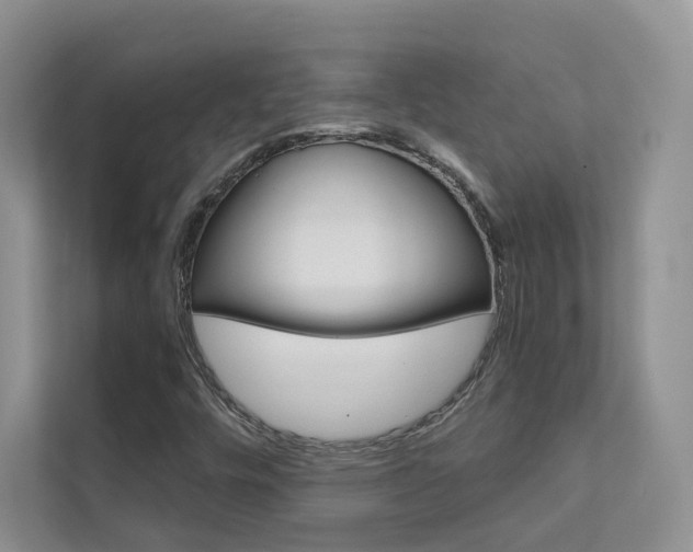 X0000111671448200907171434