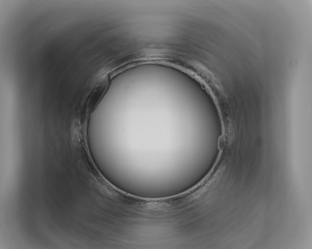 X0000111671449200907171434