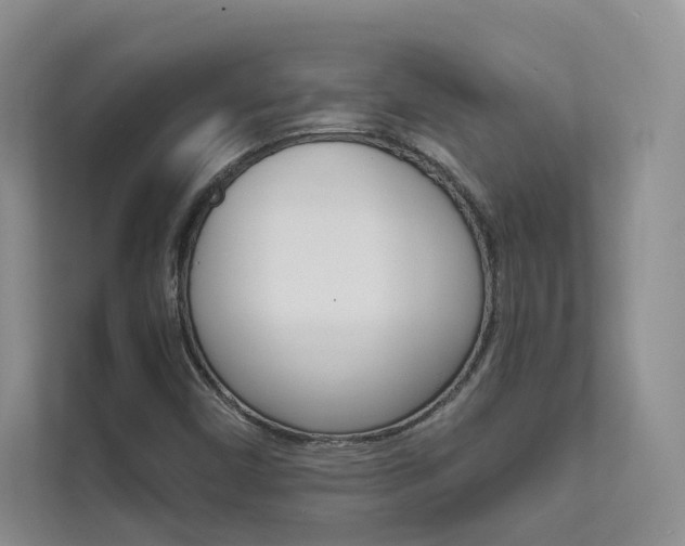 X0000111671450200907171434