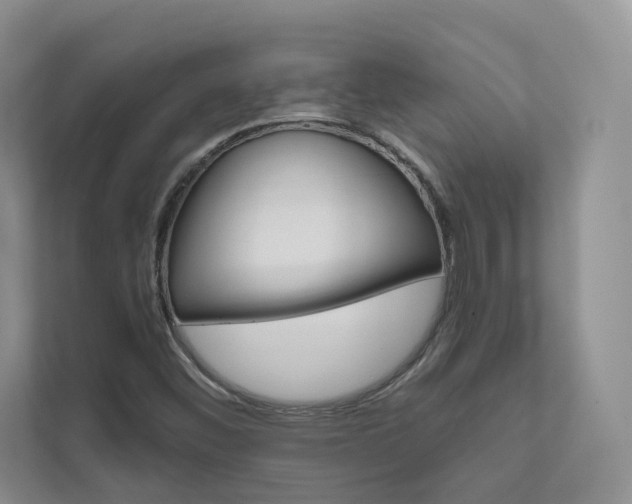 X0000111671452200907171434