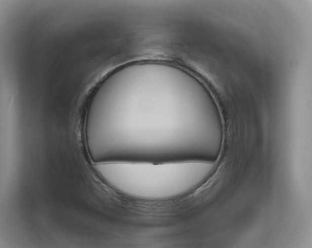 X0000111671455200907171434