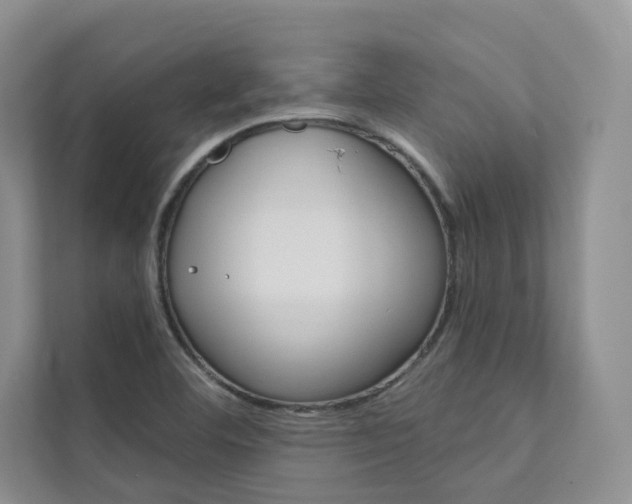 X0000111671460200907171434