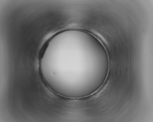 X0000111671461200907171434