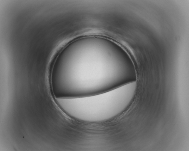 X0000111671464200907171434