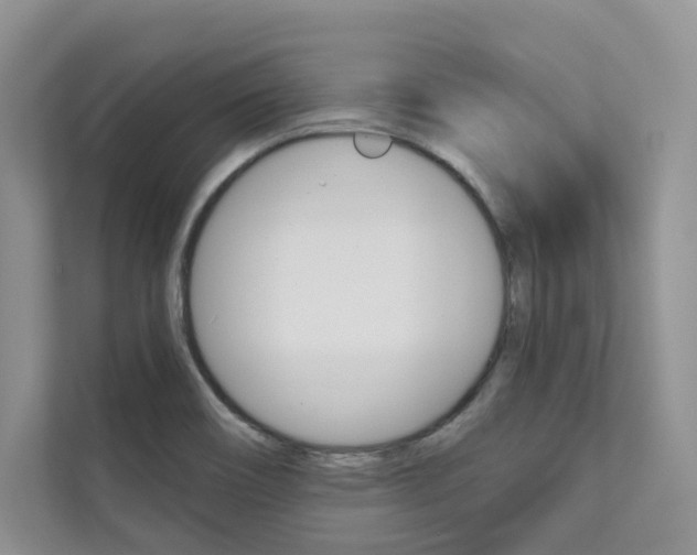 X0000111671466200907171434