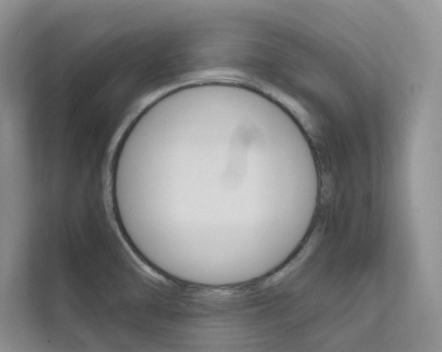 X0000111671470200907171434