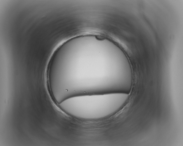 X0000111671471200907171434